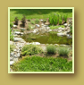 A small pond is an inviting water feature
